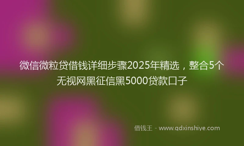 微信微粒贷借钱详细步骤2025年精选，整合5个无视网黑征信黑5000贷款口子