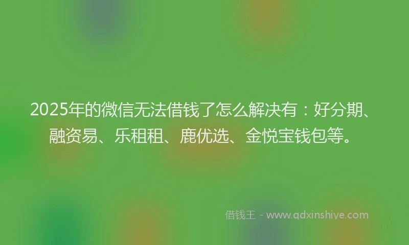 2025年的微信无法借钱了怎么解决有：好分期、融资易、乐租租、鹿优选、金悦宝钱包等。