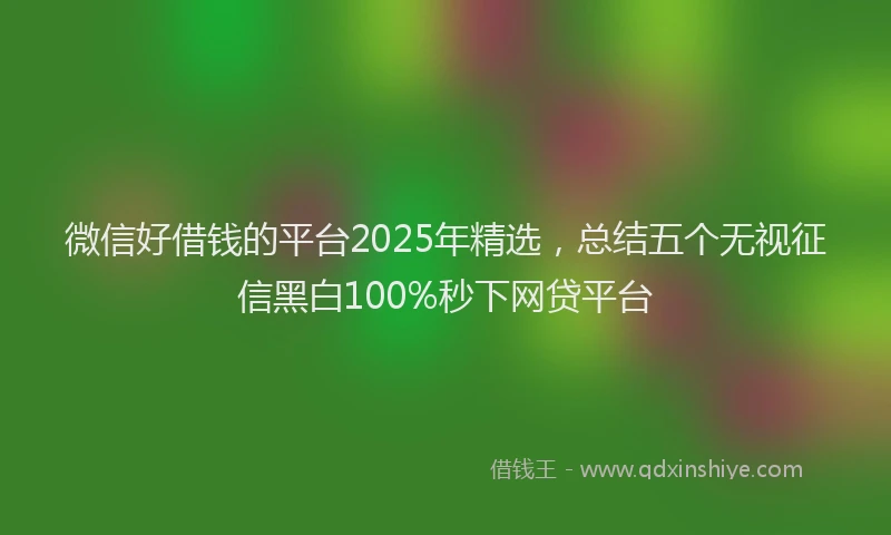 微信好借钱的平台2025年精选，总结五个无视征信黑白100%秒下网贷平台