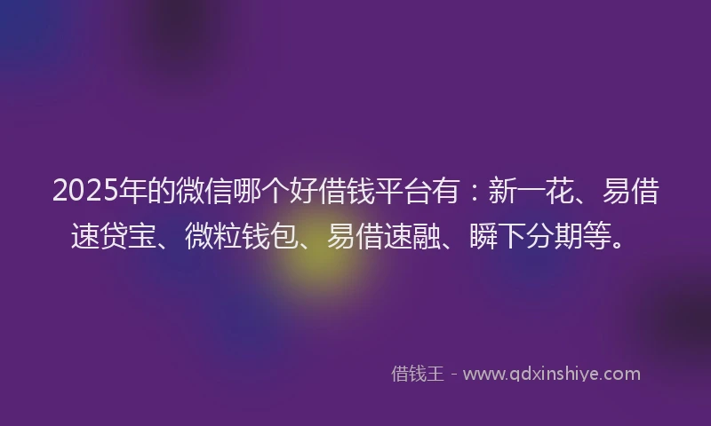 2025年的微信哪个好借钱平台有：新一花、易借速贷宝、微粒钱包、易借速融、瞬下分期等。