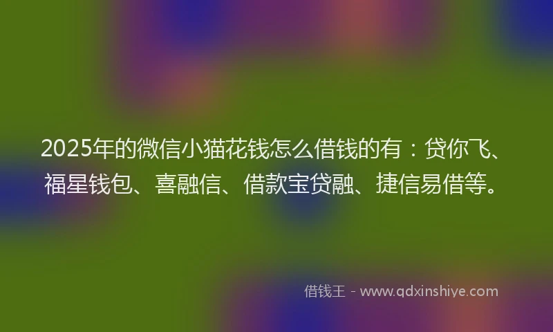 2025年的微信小猫花钱怎么借钱的有：贷你飞、福星钱包、喜融信、借款宝贷融、捷信易借等。