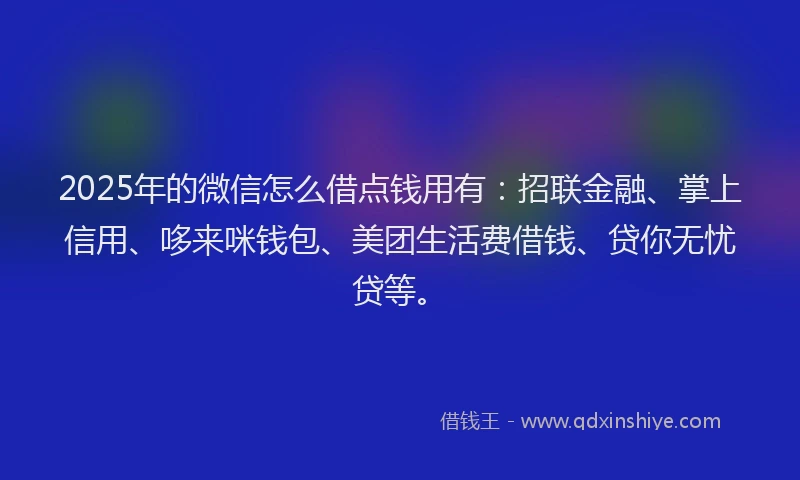 2025年的微信怎么借点钱用有：招联金融、掌上信用、哆来咪钱包、美团生活费借钱、贷你无忧贷等。