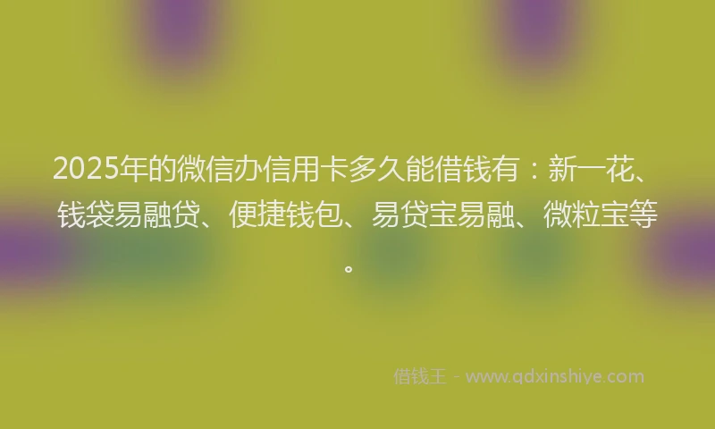 2025年的微信办信用卡多久能借钱有：新一花、钱袋易融贷、便捷钱包、易贷宝易融、微粒宝等。