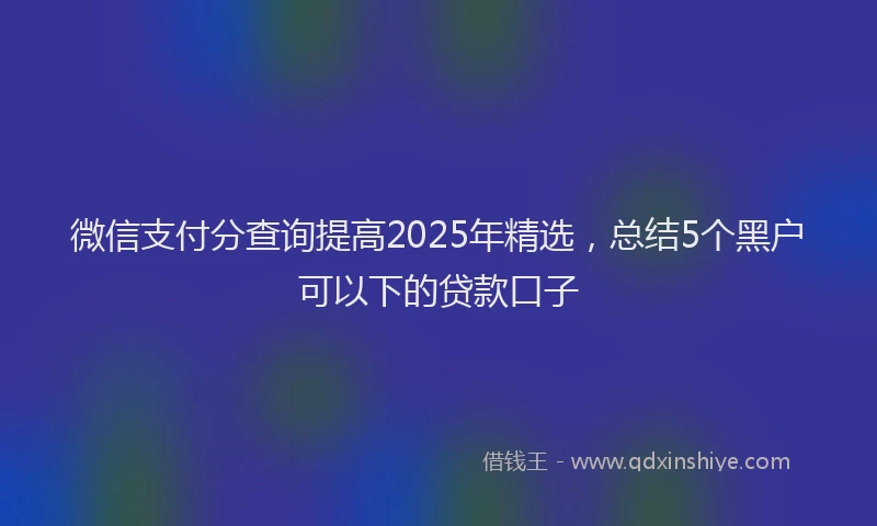 微信支付分查询提高2025年精选，总结5个黑户可以下的贷款口子