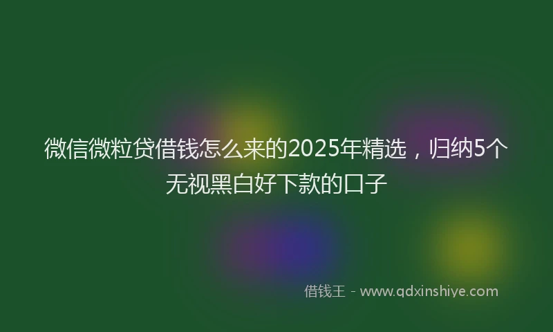微信微粒贷借钱怎么来的2025年精选，归纳5个无视黑白好下款的口子