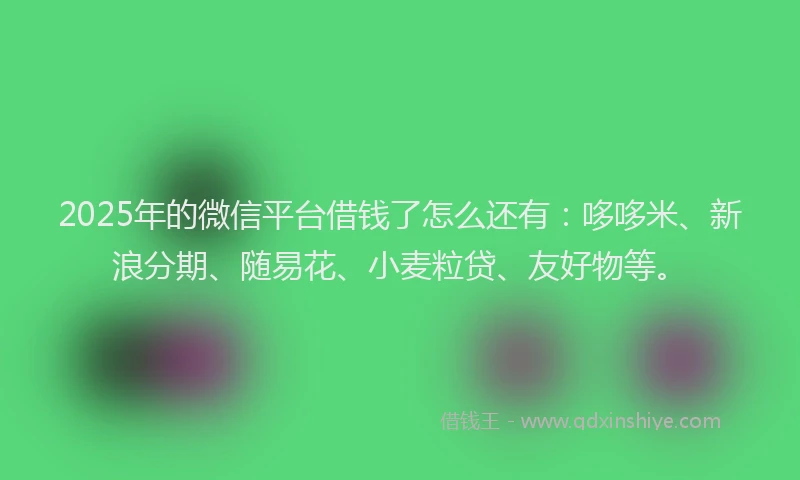2025年的微信平台借钱了怎么还有：哆哆米、新浪分期、随易花、小麦粒贷、友好物等。