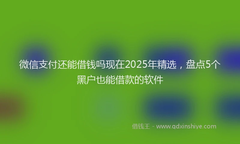 微信支付还能借钱吗现在2025年精选，盘点5个黑户也能借款的软件