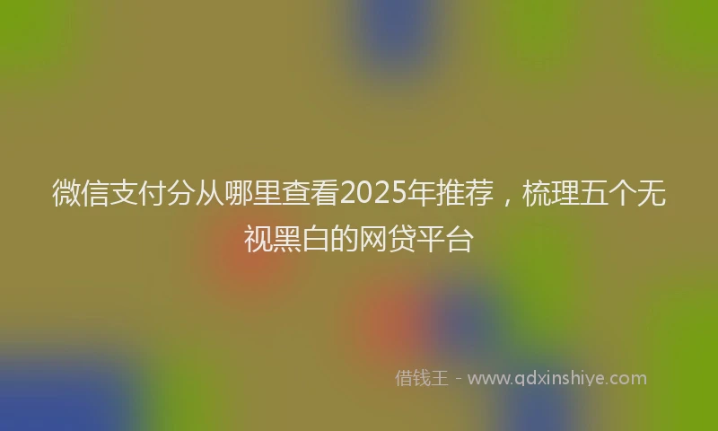 微信支付分从哪里查看2025年推荐，梳理五个无视黑白的网贷平台