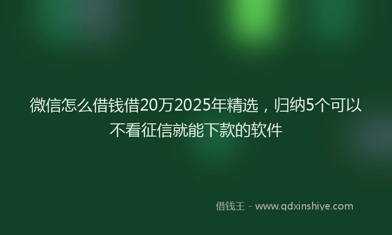 微信怎么借钱借20万2025年精选，归纳5个可以不看征信就能下款的软件