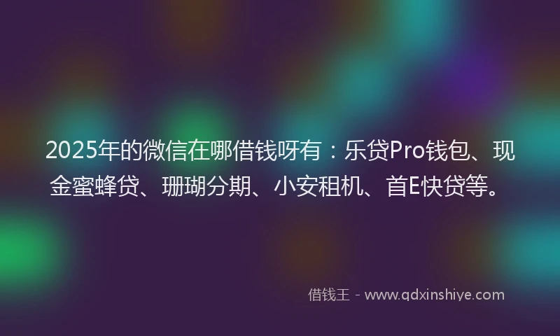 2025年的微信在哪借钱呀有：乐贷Pro钱包、现金蜜蜂贷、珊瑚分期、小安租机、首E快贷等。