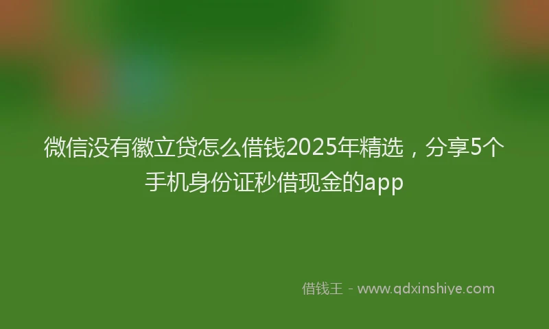 微信没有徽立贷怎么借钱2025年精选，分享5个手机身份证秒借现金的app