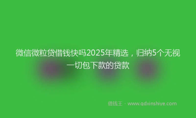 微信微粒贷借钱快吗2025年精选，归纳5个无视一切包下款的贷款
