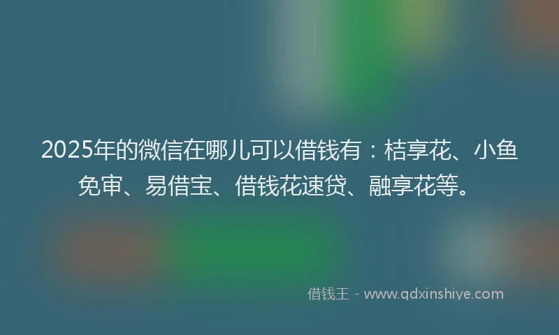 2025年的微信在哪儿可以借钱有：桔享花、小鱼免审、易借宝、借钱花速贷、融享花等。