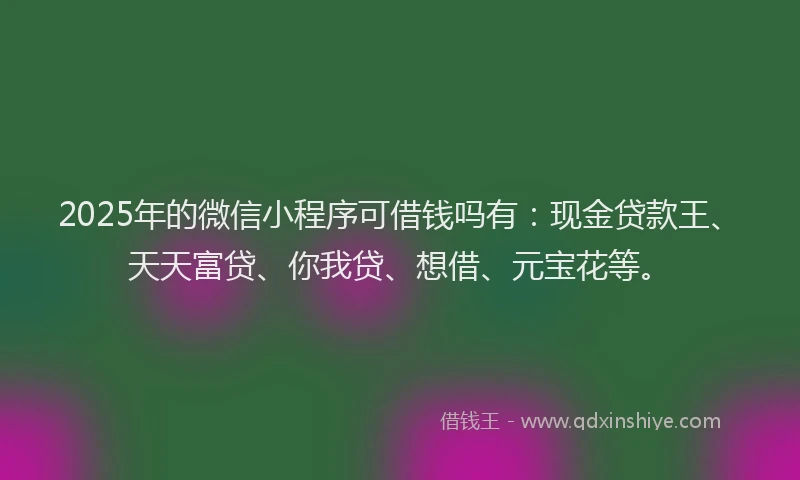2025年的微信小程序可借钱吗有：现金贷款王、天天富贷、你我贷、想借、元宝花等。