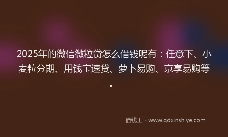 2025年的微信微粒贷怎么借钱呢有：任意下、小麦粒分期、用钱宝速贷、萝卜易购、京享易购等。