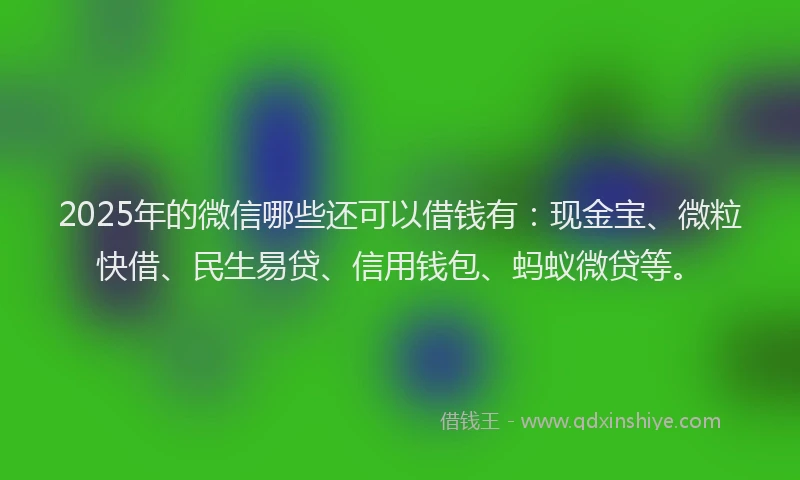 2025年的微信哪些还可以借钱有：现金宝、微粒快借、民生易贷、信用钱包、蚂蚁微贷等。