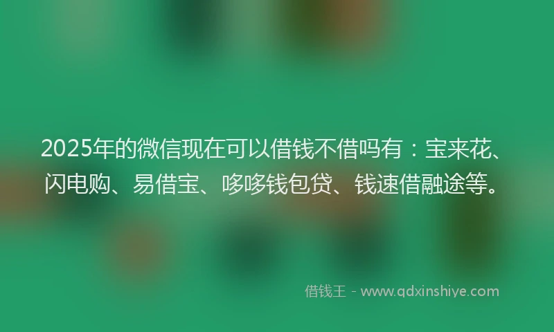 2025年的微信现在可以借钱不借吗有：宝来花、闪电购、易借宝、哆哆钱包贷、钱速借融途等。