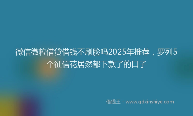 微信微粒借贷借钱不刷脸吗2025年推荐，罗列5个征信花居然都下款了的口子