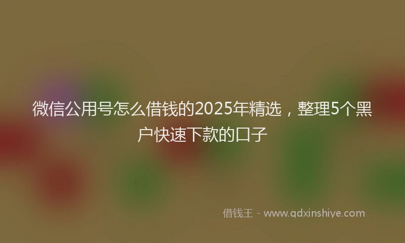 微信公用号怎么借钱的2025年精选，整理5个黑户快速下款的口子