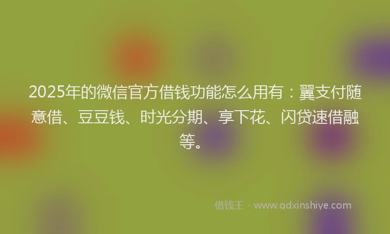 2025年的微信官方借钱功能怎么用有：翼支付随意借、豆豆钱、时光分期、享下花、闪贷速借融等。