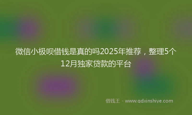 微信小极呗借钱是真的吗2025年推荐，整理5个12月独家贷款的平台