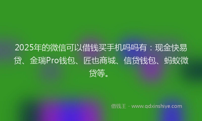 2025年的微信可以借钱买手机吗吗有：现金快易贷、金瑞Pro钱包、匠也商城、信贷钱包、蚂蚁微贷等。