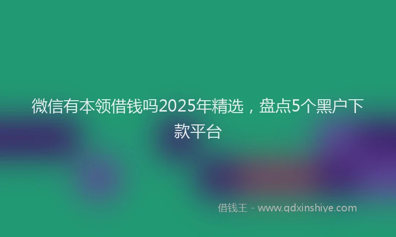 微信有本领借钱吗2025年精选，盘点5个黑户下款平台