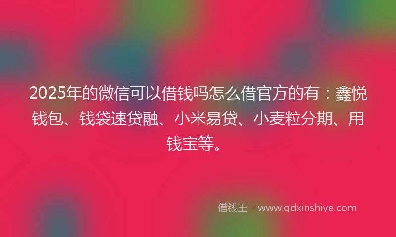 2025年的微信可以借钱吗怎么借官方的有：鑫悦钱包、钱袋速贷融、小米易贷、小麦粒分期、用钱宝等。