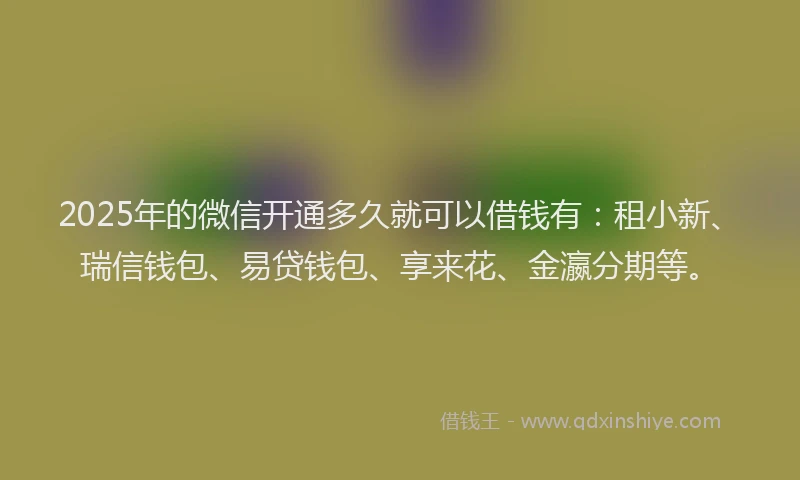 2025年的微信开通多久就可以借钱有：租小新、瑞信钱包、易贷钱包、享来花、金瀛分期等。
