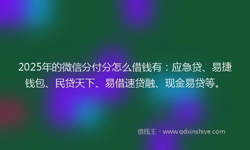 2025年的微信分付分怎么借钱有：应急贷、易捷钱包、民贷天下、易借速贷融、现金易贷等。