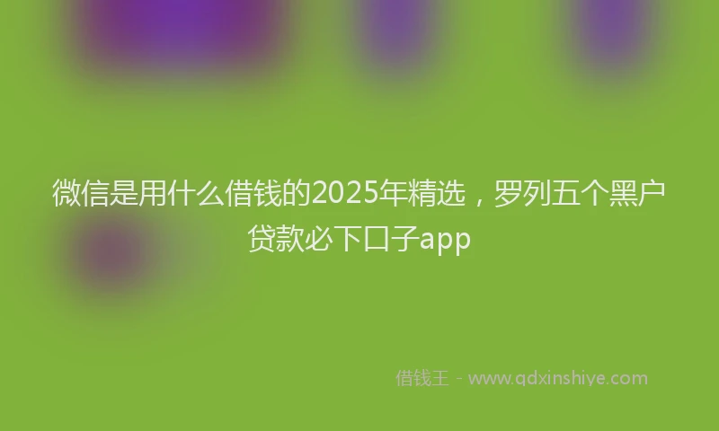 微信是用什么借钱的2025年精选，罗列五个黑户贷款必下口子app