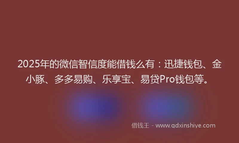 2025年的微信智信度能借钱么有：迅捷钱包、金小豚、多多易购、乐享宝、易贷Pro钱包等。