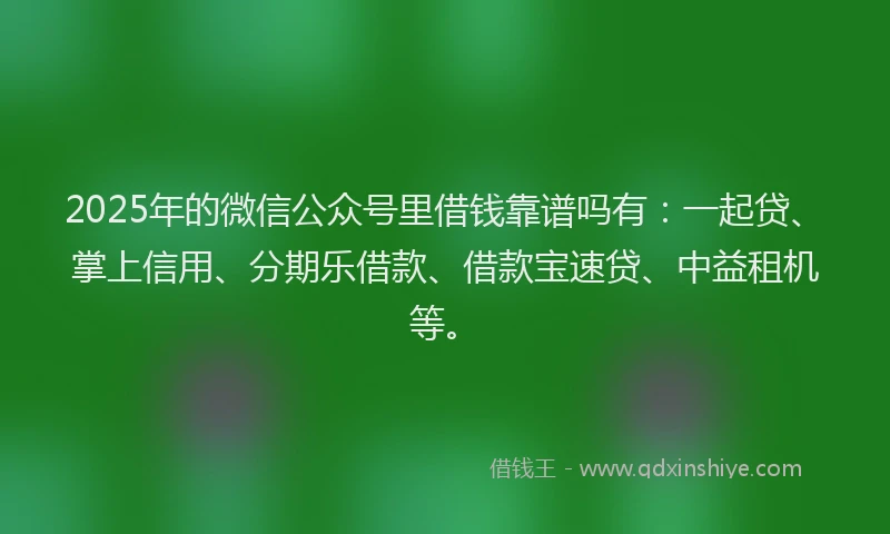 2025年的微信公众号里借钱靠谱吗有：一起贷、掌上信用、分期乐借款、借款宝速贷、中益租机等。
