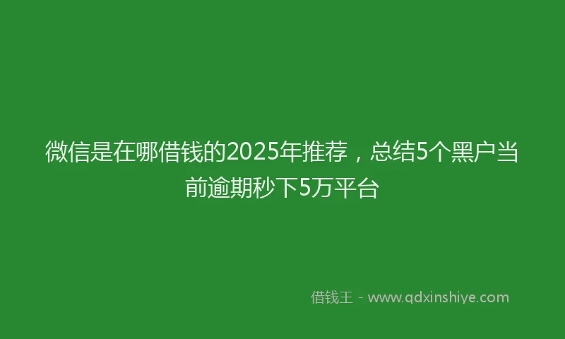 微信是在哪借钱的2025年推荐，总结5个黑户当前逾期秒下5万平台