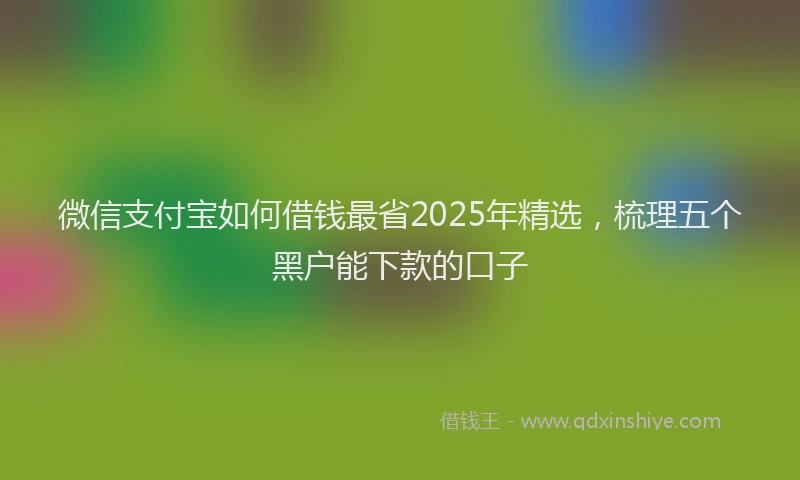 微信支付宝如何借钱最省2025年精选，梳理五个黑户能下款的口子