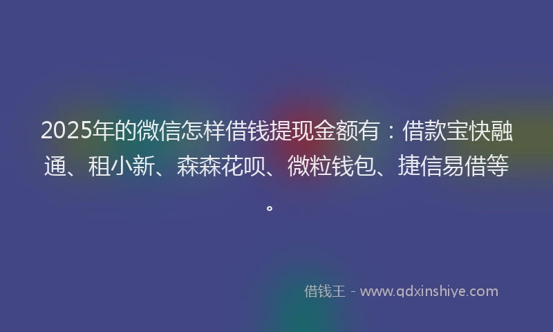 2025年的微信怎样借钱提现金额有：借款宝快融通、租小新、森森花呗、微粒钱包、捷信易借等。