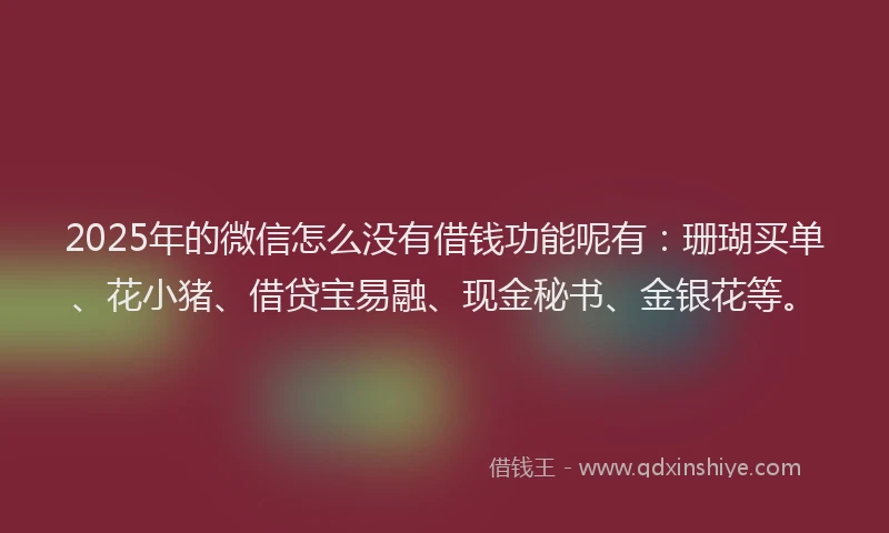 2025年的微信怎么没有借钱功能呢有：珊瑚买单、花小猪、借贷宝易融、现金秘书、金银花等。