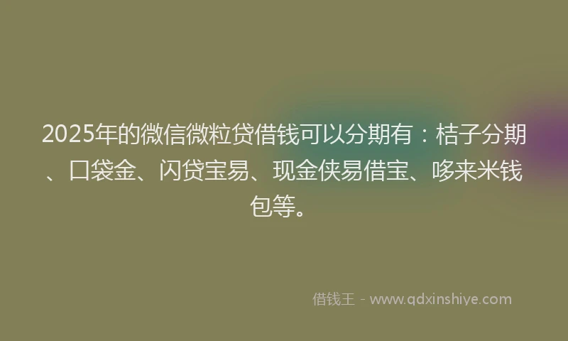 2025年的微信微粒贷借钱可以分期有：桔子分期、口袋金、闪贷宝易、现金侠易借宝、哆来米钱包等。