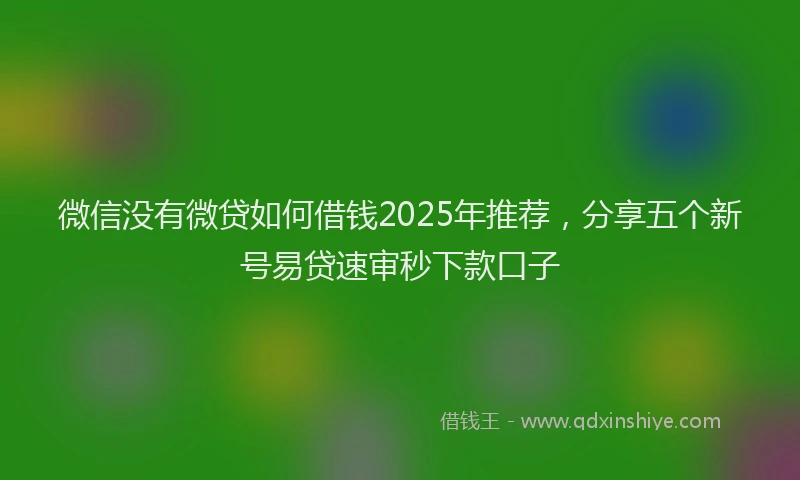 微信没有微贷如何借钱2025年推荐，分享五个新号易贷速审秒下款口子