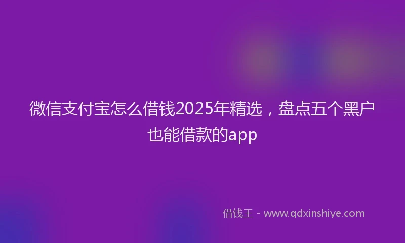 微信支付宝怎么借钱2025年精选，盘点五个黑户也能借款的app