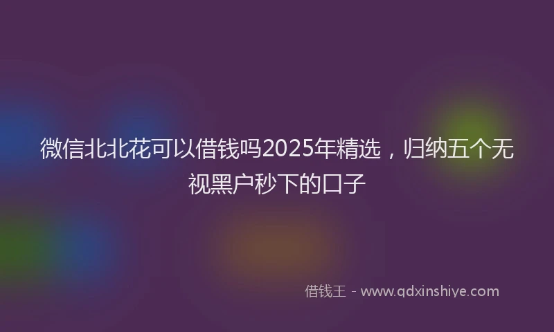 微信北北花可以借钱吗2025年精选，归纳五个无视黑户秒下的口子