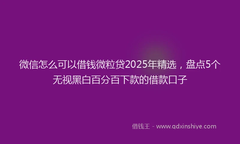 微信怎么可以借钱微粒贷2025年精选，盘点5个无视黑白百分百下款的借款口子
