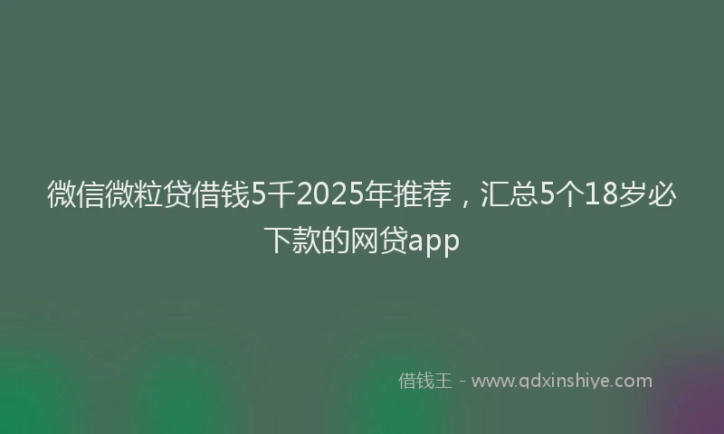 微信微粒贷借钱5千2025年推荐，汇总5个18岁必下款的网贷app