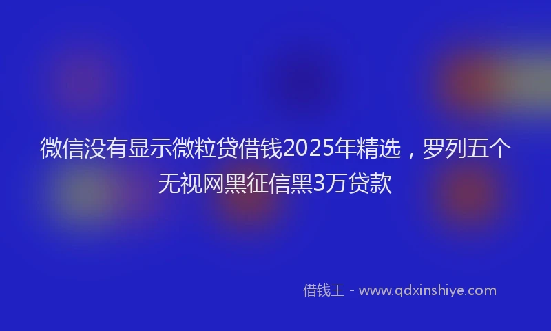 微信没有显示微粒贷借钱2025年精选，罗列五个无视网黑征信黑3万贷款