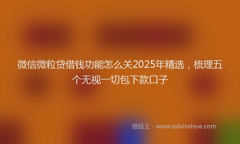 微信微粒贷借钱功能怎么关2025年精选，梳理五个无视一切包下款口子