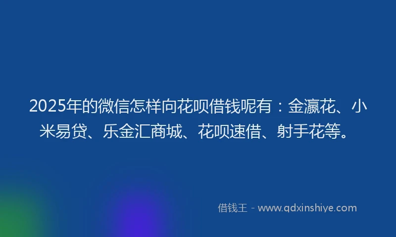2025年的微信怎样向花呗借钱呢有：金瀛花、小米易贷、乐金汇商城、花呗速借、射手花等。