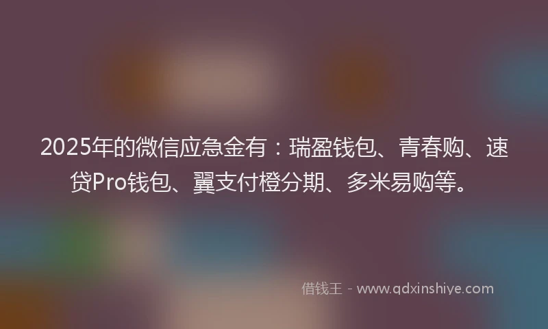 2025年的微信应急金有：瑞盈钱包、青春购、速贷Pro钱包、翼支付橙分期、多米易购等。