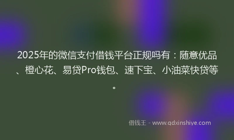 2025年的微信支付借钱平台正规吗有：随意优品、橙心花、易贷Pro钱包、速下宝、小油菜快贷等。