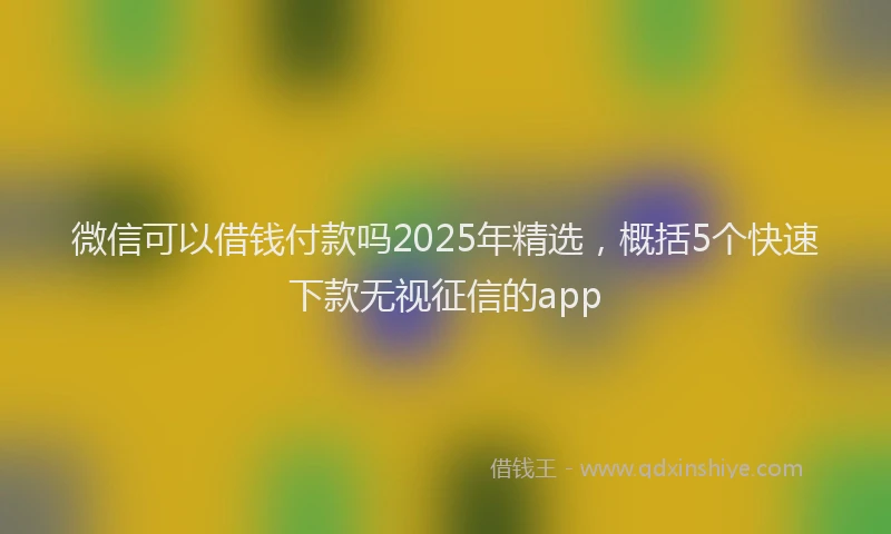 微信可以借钱付款吗2025年精选，概括5个快速下款无视征信的app