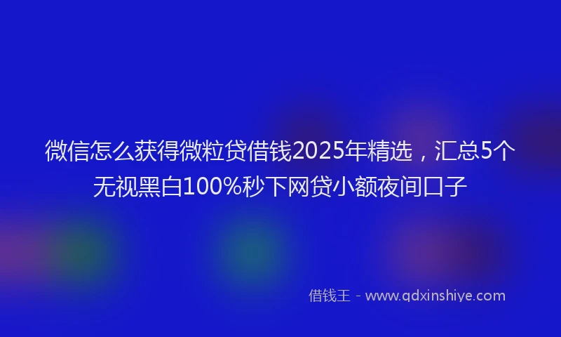 微信怎么获得微粒贷借钱2025年精选，汇总5个无视黑白100%秒下网贷小额夜间口子
